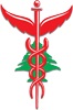 Order of Physiotherapists in Lebanon