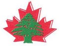 Lebanese Canadian Hospital